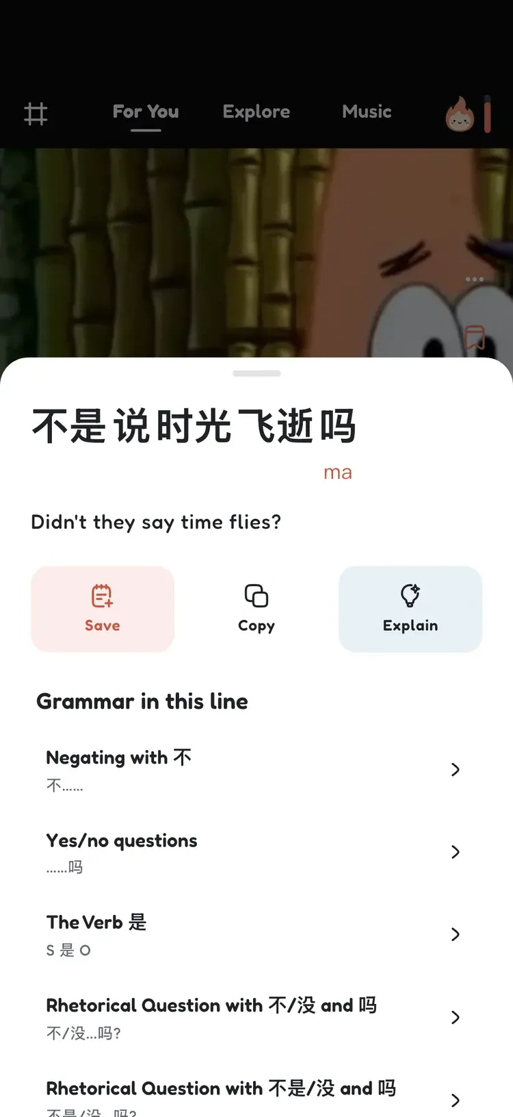 Product screenshot: synced captions and word lookup